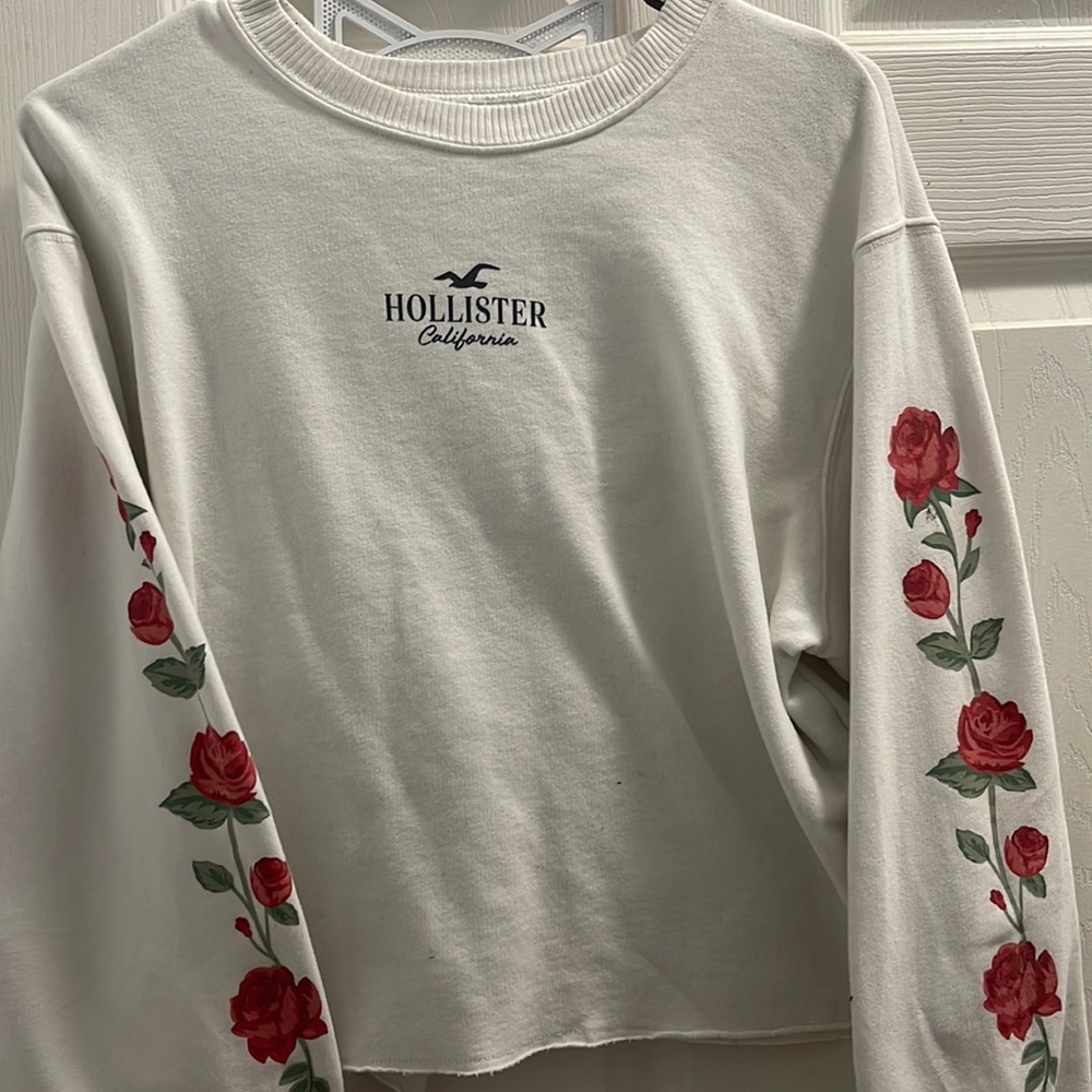 Hollister: rose theme cropped sweater